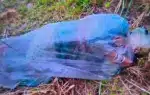 পলিথিনে মোড়ানো অ্যাসিডদগ্ধ এক নারী।