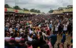 মেলায় দর্শনার্থীরা হঠাৎ করে লুটপাট শুরু করে দেন।