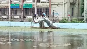 ময়মনসিংহের ত্রিশালে জাতীয় কবি কাজী নজরুল ইসলাম বিশ্ববিদ্যালয়ে স্থাপিত ‘অঞ্জলি লহ মোর’ ভাস্কর্যটি প্রশাসনের নির্দেশে ভেঙে ফেলা হয়েছে।