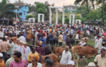 শহীদ মিনার প্রাঙ্গ‌ণে বসেছে গরুর হাট। ভ্রাম্যমাণ দোকানিরা শহীদ মিনারের বে‌দি‌তে পান-সিগারেট বিক্রি করছেন।