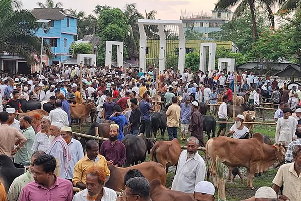শহীদ মিনার প্রাঙ্গ‌ণে বসেছে গরুর হাট। ভ্রাম্যমাণ দোকানিরা শহীদ মিনারের বে‌দি‌তে পান-সিগারেট বিক্রি করছেন।
