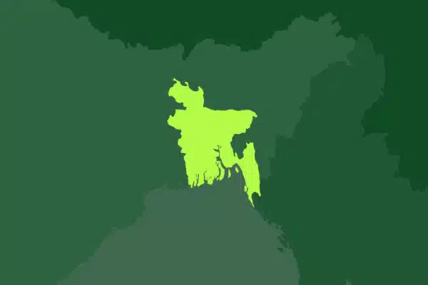 ৫ আগস্টের ক্ষমতার পটপরিবর্তনের পর বর্তমান অন্তর্বর্তীকালীন সরকারের যাত্রা শুরু হয়ে ৮ আগস্ট। এই দিবসটিকে তারা নাম দিয়েছে ‘নতুন বাংলাদেশ দিবস’।