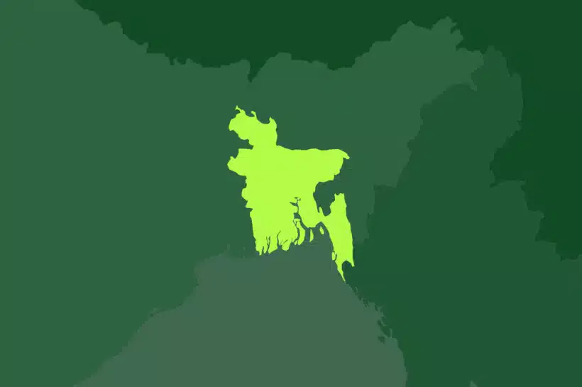 ৫ আগস্টের ক্ষমতার পটপরিবর্তনের পর বর্তমান অন্তর্বর্তীকালীন সরকারের যাত্রা শুরু হয়ে ৮ আগস্ট। এই দিবসটিকে তারা নাম দিয়েছে ‘নতুন বাংলাদেশ দিবস’।