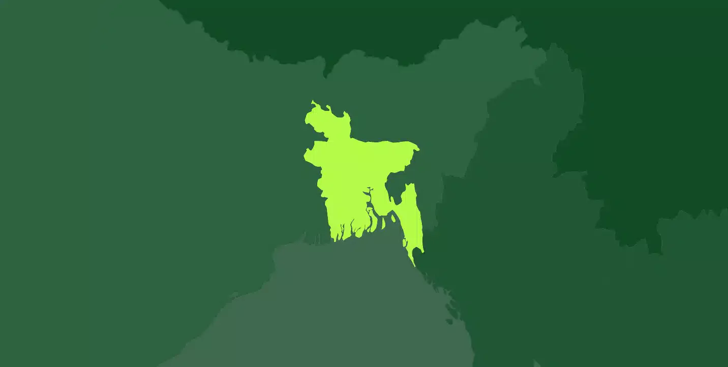 ৫ আগস্টের ক্ষমতার পটপরিবর্তনের পর বর্তমান অন্তর্বর্তীকালীন সরকারের যাত্রা শুরু হয়ে ৮ আগস্ট। এই দিবসটিকে তারা নাম দিয়েছে ‘নতুন বাংলাদেশ দিবস’।