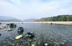এমন বৈরি আবহাওয়ায় পর্যটকদের ঝুঁকি বিবেচনায় নিয়ে বন্ধ ঘোষণা করা হয়েছে একটি পর্যটনকেন্দ্র।