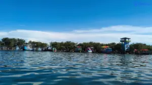 মিঠাপানির মাছের বড় উৎস টাঙ্গুয়ার হাওরের পানিতে মিলেছে উচ্চমাত্রার ভারী ধাতু।