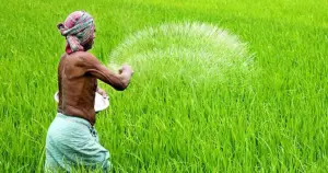 বাংলাদেশের ৪০ শতাংশ কৃষক এখনও জাতীয় কৃষি মজুরি হার (দৈনিক ৬০০ টাকা) থেকে কম মজুরি পান।