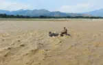 ২৪ ঘণ্টায় অন্তত ৬৩ জনের মৃত্যু হয়েছে।