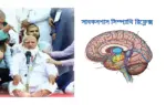 জামায়াতে ইসলামি দলের আমির শফিকুর রহমান ভাষণ দেয়ার সময় ষ্টেজে পড়ে বসে আছেন। পাশের ছবিতে মানুষের ব্রেইনের সাবকনশাস সিম্প্যাথি পাওয়ার অবস্থা বুঝানো হচ্ছে।