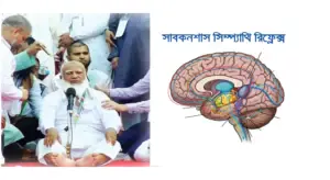 জামায়াতে ইসলামি দলের আমির শফিকুর রহমান ভাষণ দেয়ার সময় ষ্টেজে পড়ে বসে আছেন। পাশের ছবিতে মানুষের ব্রেইনের সাবকনশাস সিম্প্যাথি পাওয়ার অবস্থা বুঝানো হচ্ছে।