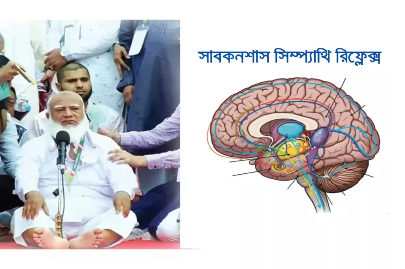জামায়াতে ইসলামি দলের আমির শফিকুর রহমান ভাষণ দেয়ার সময় ষ্টেজে পড়ে বসে আছেন। পাশের ছবিতে মানুষের ব্রেইনের সাবকনশাস সিম্প্যাথি পাওয়ার অবস্থা বুঝানো হচ্ছে।