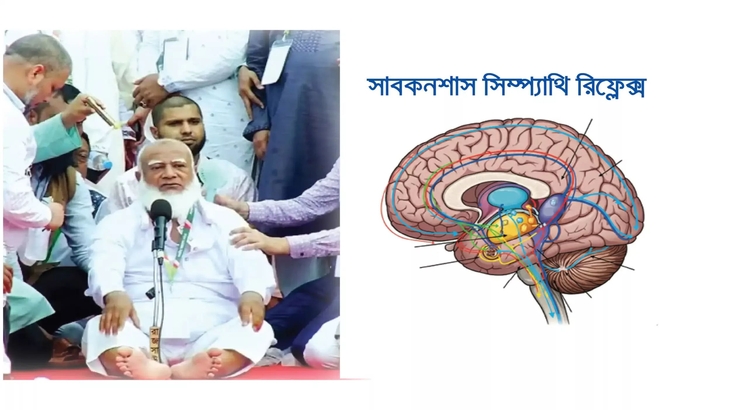 জামায়াতে ইসলামি দলের আমির শফিকুর রহমান ভাষণ দেয়ার সময় ষ্টেজে পড়ে বসে আছেন। পাশের ছবিতে মানুষের ব্রেইনের সাবকনশাস সিম্প্যাথি পাওয়ার অবস্থা বুঝানো হচ্ছে।