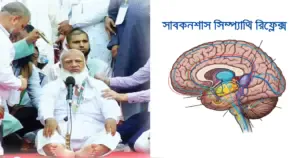 জামায়াতে ইসলামি দলের আমির শফিকুর রহমান ভাষণ দেয়ার সময় ষ্টেজে পড়ে বসে আছেন। পাশের ছবিতে মানুষের ব্রেইনের সাবকনশাস সিম্প্যাথি পাওয়ার অবস্থা বুঝানো হচ্ছে।