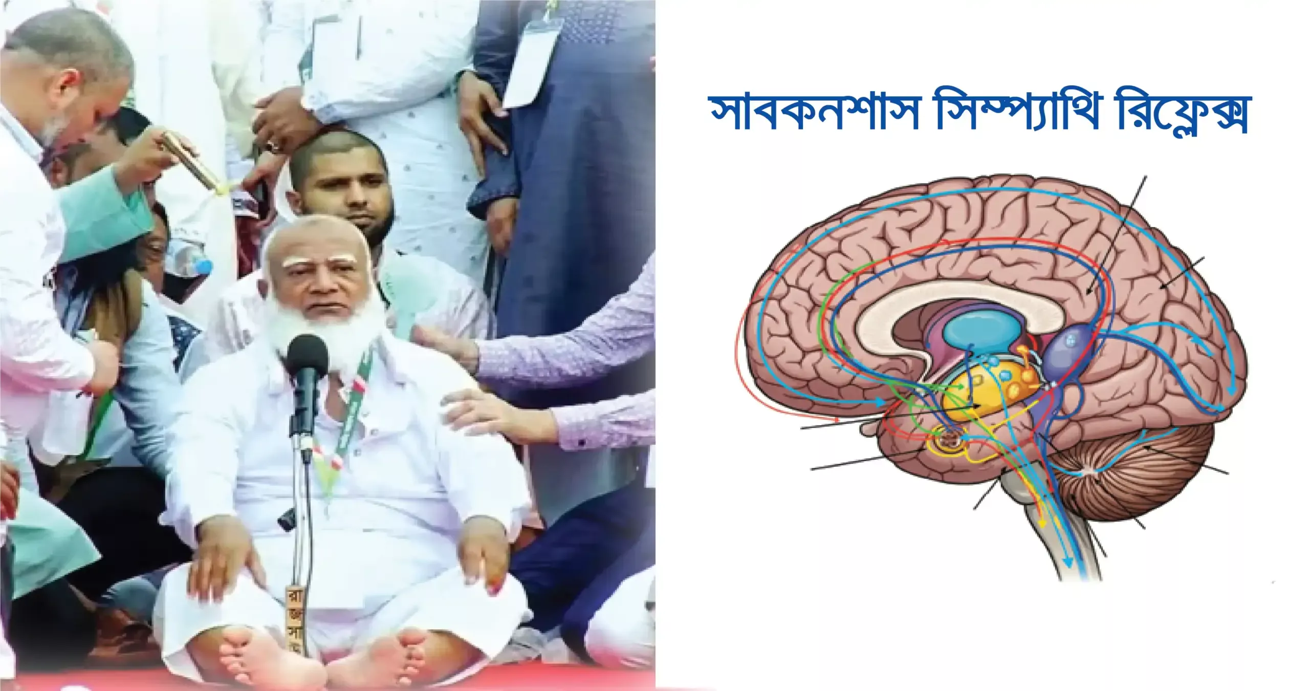 জামায়াতে ইসলামি দলের আমির শফিকুর রহমান ভাষণ দেয়ার সময় ষ্টেজে পড়ে বসে আছেন। পাশের ছবিতে মানুষের ব্রেইনের সাবকনশাস সিম্প্যাথি পাওয়ার অবস্থা বুঝানো হচ্ছে।