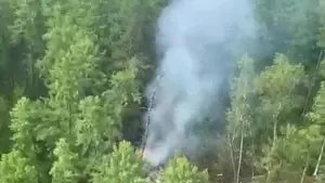 বিধ্বস্ত রুশ বিমানের কেউ আর বেঁচে নেই।