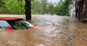 বন্যায় স্থানীয় অনেক বাসাবাড়ি, ক্যাম্প ও গাড়িভিত্তিক পার্ক ক্ষতিগ্রস্ত হয়েছে।