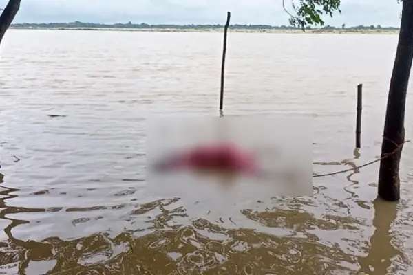 চলতি ২০২৫ সালে নদীগুলোতে প্রতিমাসে গড়ে ৪৩টি করে মরদেহ পাওয়া গেছে।