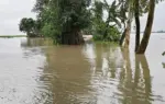 ভারী থেকে অতি ভারী বৃষ্টিপাতের সম্ভাবনা রয়েছে।