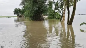 ভারী থেকে অতি ভারী বৃষ্টিপাতের সম্ভাবনা রয়েছে।
