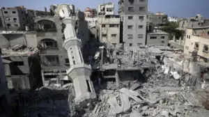 ফিলিস্তিনের গাজা উপত্যকার ৮০ শতাংশেরও বেশি এবং গাজা সিটির ৯২ শতাংশ ভবন ধ্বংস বা ক্ষতিগ্রস্ত হয়েছে।