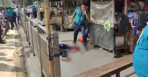 মেট্রোরেলের একটি বিয়ারিং প্যাড খুলে পড়ে এক পথচারীর মৃত্যু হয়েছে।