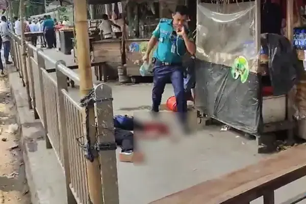 মেট্রোরেলের একটি বিয়ারিং প্যাড খুলে পড়ে এক পথচারীর মৃত্যু হয়েছে।