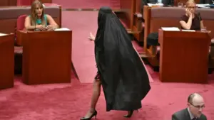 অস্ট্রেলিয়ার সিনেটর পলিন হ্যানসনের পদ স্থগিত করা হয়েছে।