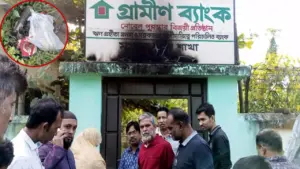 এতে প্রতিষ্ঠানের সাইনবোর্ডটি পুড়ে গেলেও অন্য কোনো ক্ষয়ক্ষতি হয়নি।
