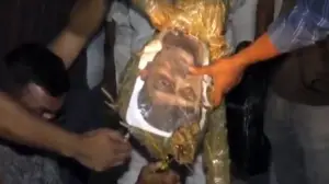 নাসীরুদ্দীন পাটওয়ারীর কুশপুত্তলিকা দাহ করা হয়েছে।