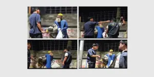 ঢাকা বিশ্ববিদ্যালয় ক্যাম্পাস থেকে ছাত্র সংসদের সদস্যরা ক্যাম্পাস থেকে গৃহহীন একজন বৃদ্ধকে লাঠিপেটা করে তাড়িয়ে দিচ্ছে মধ্যরাতে