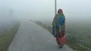 অন্তত ১০টি শৈত্যপ্রবাহ বয়ে যেতে পারে দেশের বিভিন্ন অঞ্চলে।