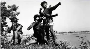 যৌথ বাহিনী এই দিন থেকে সীমান্ত অতিক্রম করে সম্মিলিতভাবে বাংলাদেশে অভিযান শুরু করে।