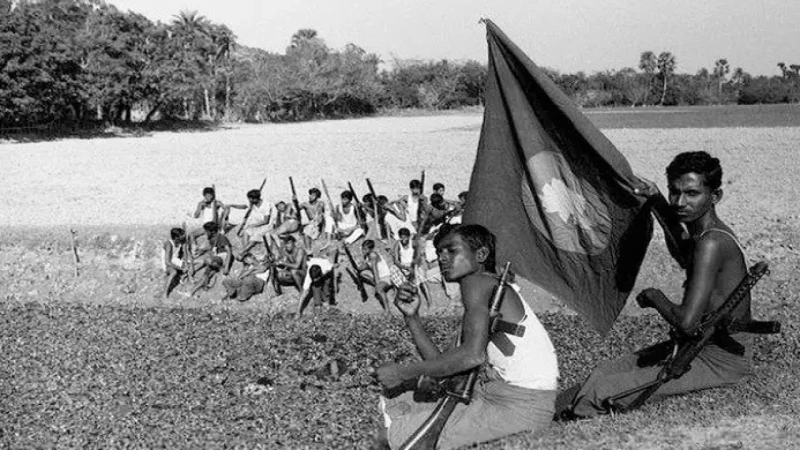 সর্বত্র মুক্তিযোদ্ধাদের জয়জয়কার।