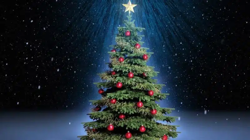 খ্রিষ্টান ধর্মাবলম্বীদের সবচেয়ে বড় ধর্মীয় উৎসব বড়দিন আজ।