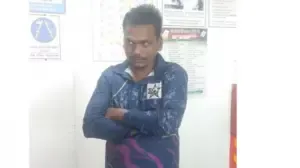 মৃত্যু নিশ্চিত করার পর দীপুর মরদেহ আগুনে পুড়িয়ে দেয় ‘তৌহিদি জনতা’।