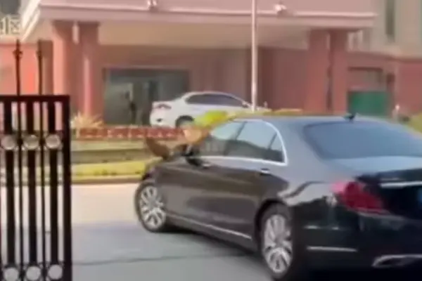 ভারতের পররাষ্ট্র মন্ত্রণালয় বুধবার বাংলাদেশ হাইকমিশনার এম রিয়াজ হামিদুল্লাহকে তলব করেছে।