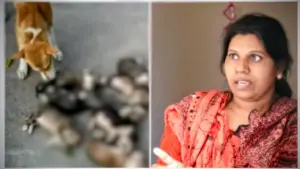 পুকুরের পানিতে ডুবিয়ে আট কুকুর ছানাকে হত্যার ঘটনায় মামলা হয়েছে।