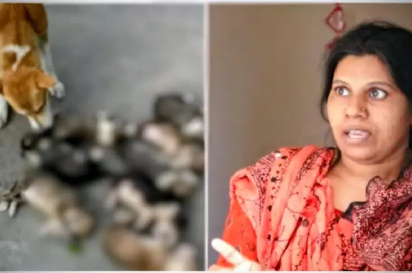 পুকুরের পানিতে ডুবিয়ে আট কুকুর ছানাকে হত্যার ঘটনায় মামলা হয়েছে।