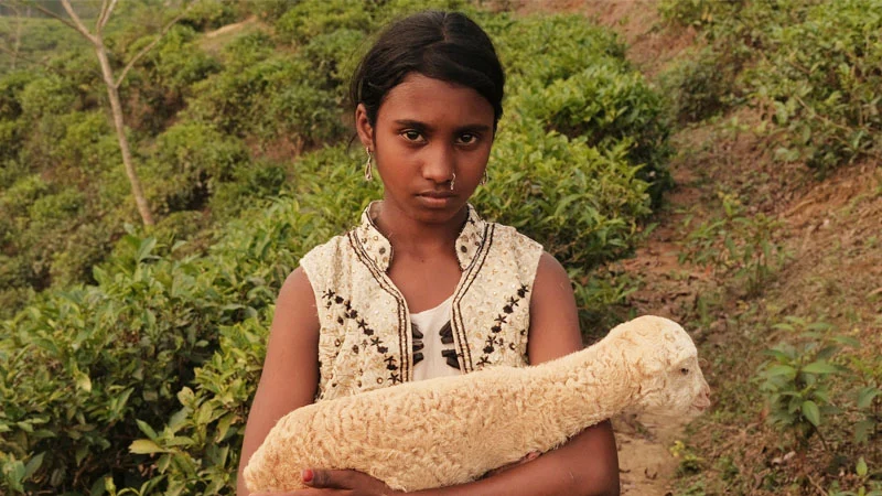 ‘নিশি’র গল্পের কেন্দ্রে রয়েছে চা-শ্রমিক পরিবারের এক নাবালিকা মেয়ের জীবনসংগ্রাম।