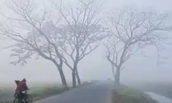 দেশের বেশির ভাগ এলাকায় চলছে শীতের দাপট।