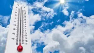 চলতি বছর বাড়বে তাপমাত্রা।