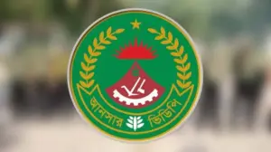 আনসার-ভিডিপির লগো।