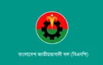 বিএনপির লগো।