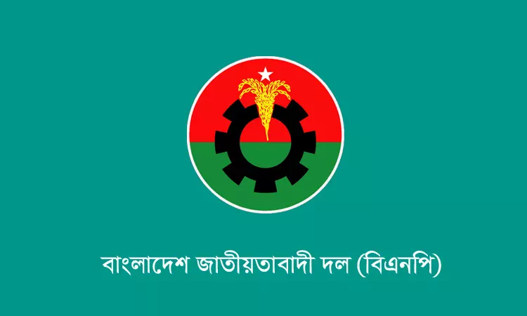 বিএনপির লগো।